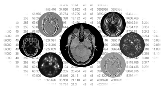 imagej software download